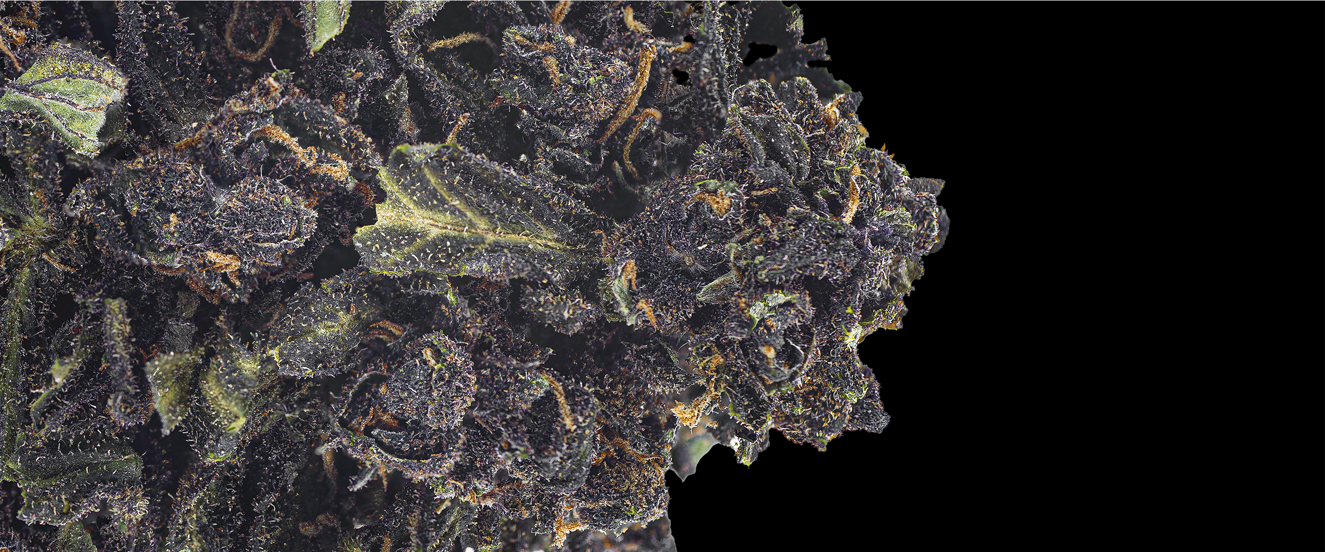 Produkter til forside