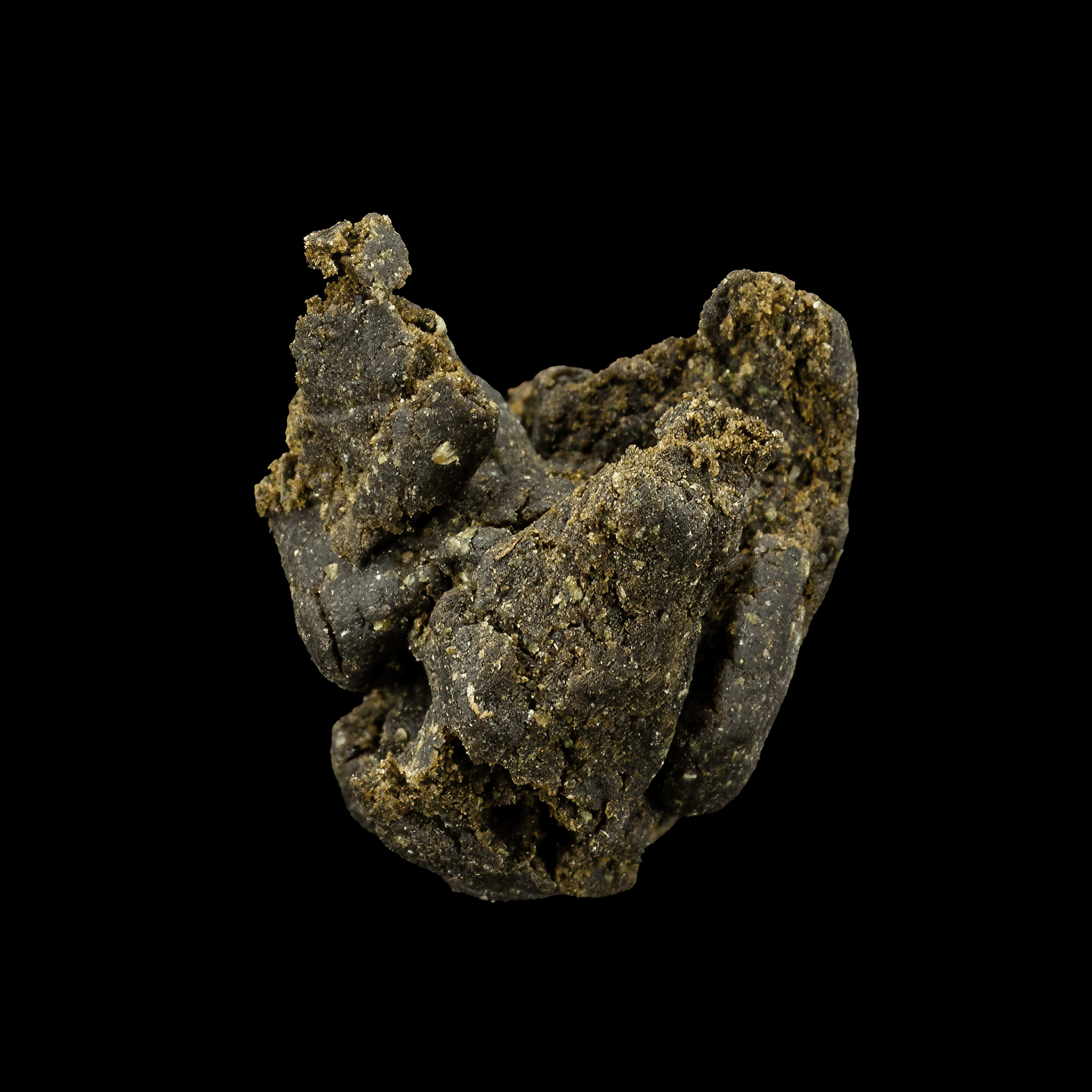 Troldmanden  - 22% THCA