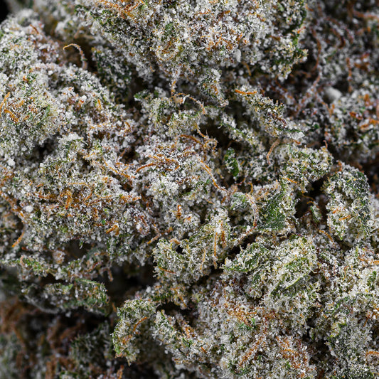 Amnesia - 23% THCA
