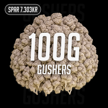 Gushers - 24% THCA 100g