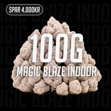 Magic Blaze Indoor - 24% THCA 100g