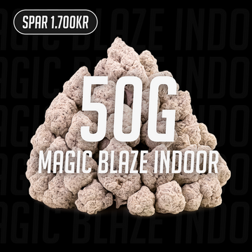Magic Blaze Indoor - 24% THCA 50g