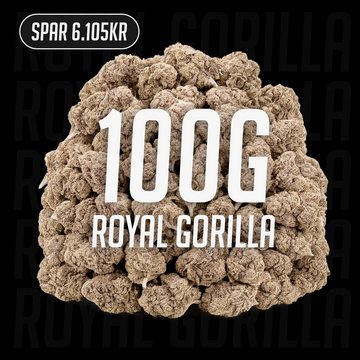 Royal Gorilla - 24% THCA 100g