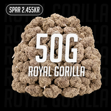 Royal Gorilla - 24% THCA 50g