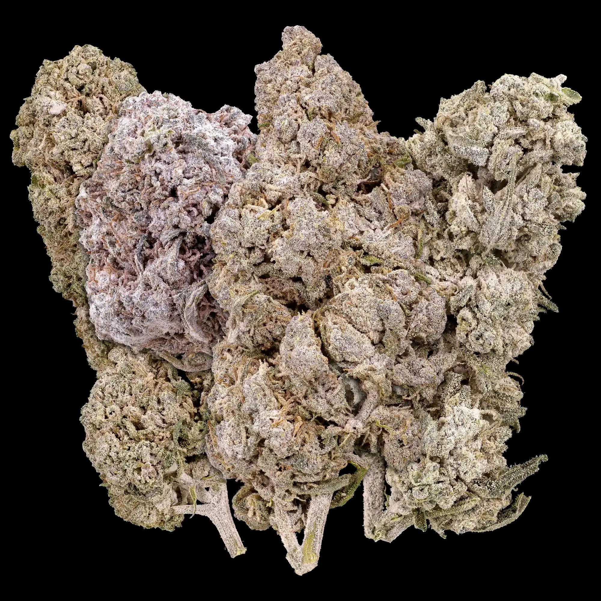 Scandi cannabis bundle with Stockholm Special, Aarhus Puff, Odense OG and Copenhagen Kush THCA flower