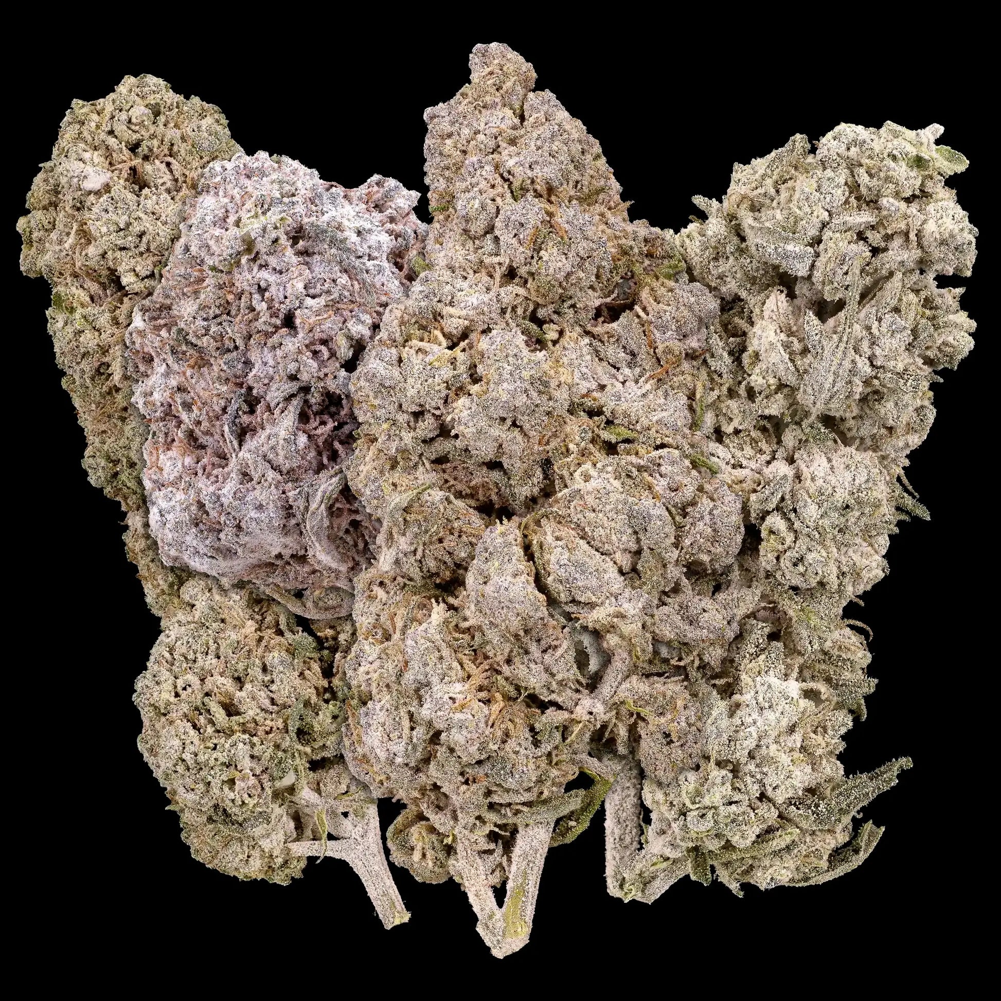 Scandi cannabis bundle with Stockholm Special, Aarhus Puff, Odense OG and Copenhagen Kush THCA flower