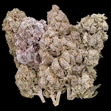 Scandi cannabis bundle with Stockholm Special, Aarhus Puff, Odense OG and Copenhagen Kush THCA flower