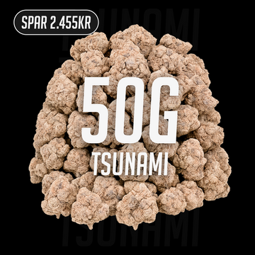 Tsunami - 24% THCA 50g
