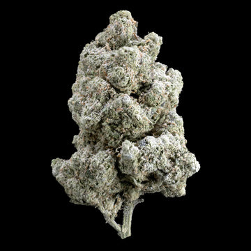 Amnesia Indoor - 27% THCA