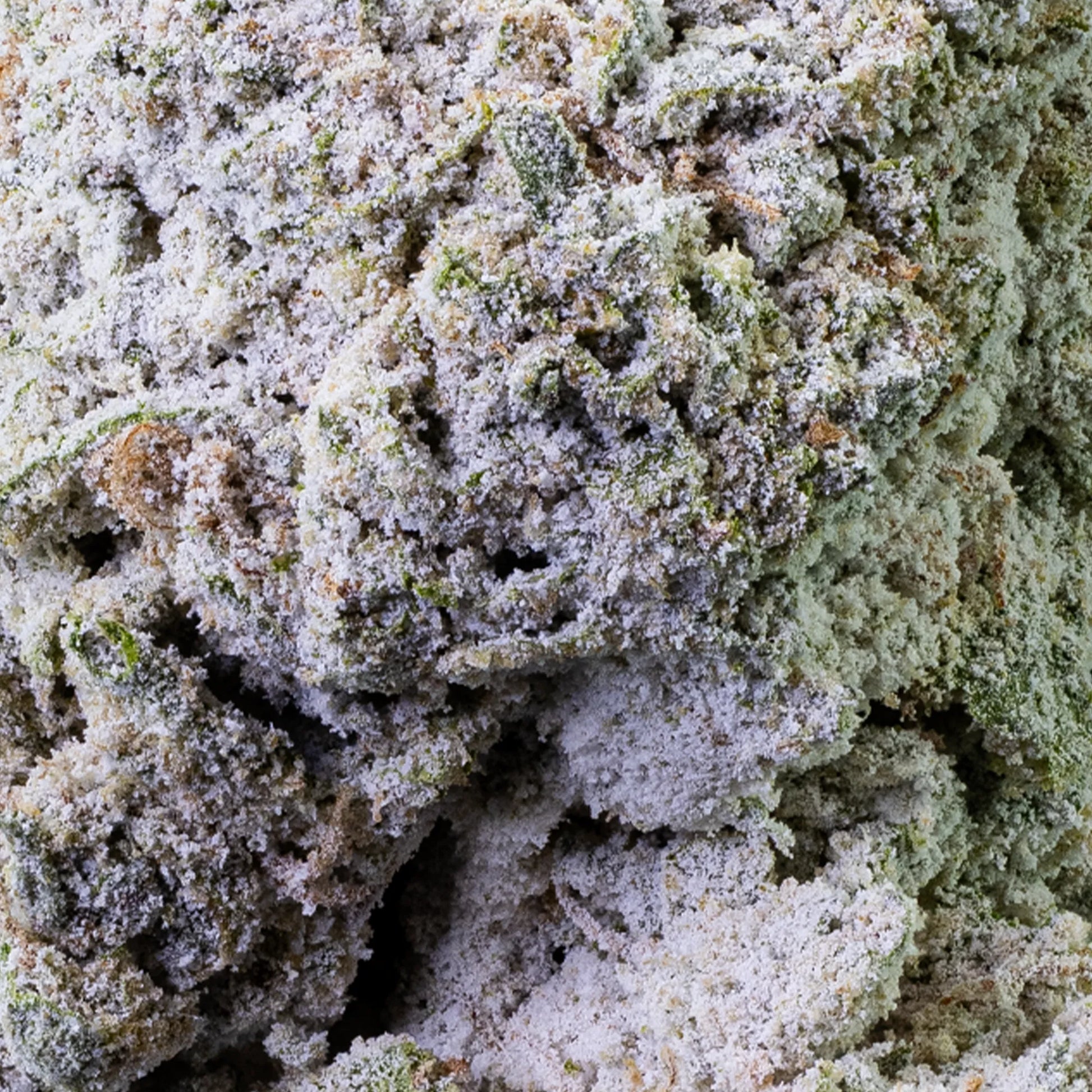 Frostet Banana Kush THCA topskud med kompakt struktur