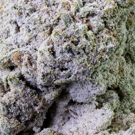 Frostet Banana Kush THCA topskud med kompakt struktur
