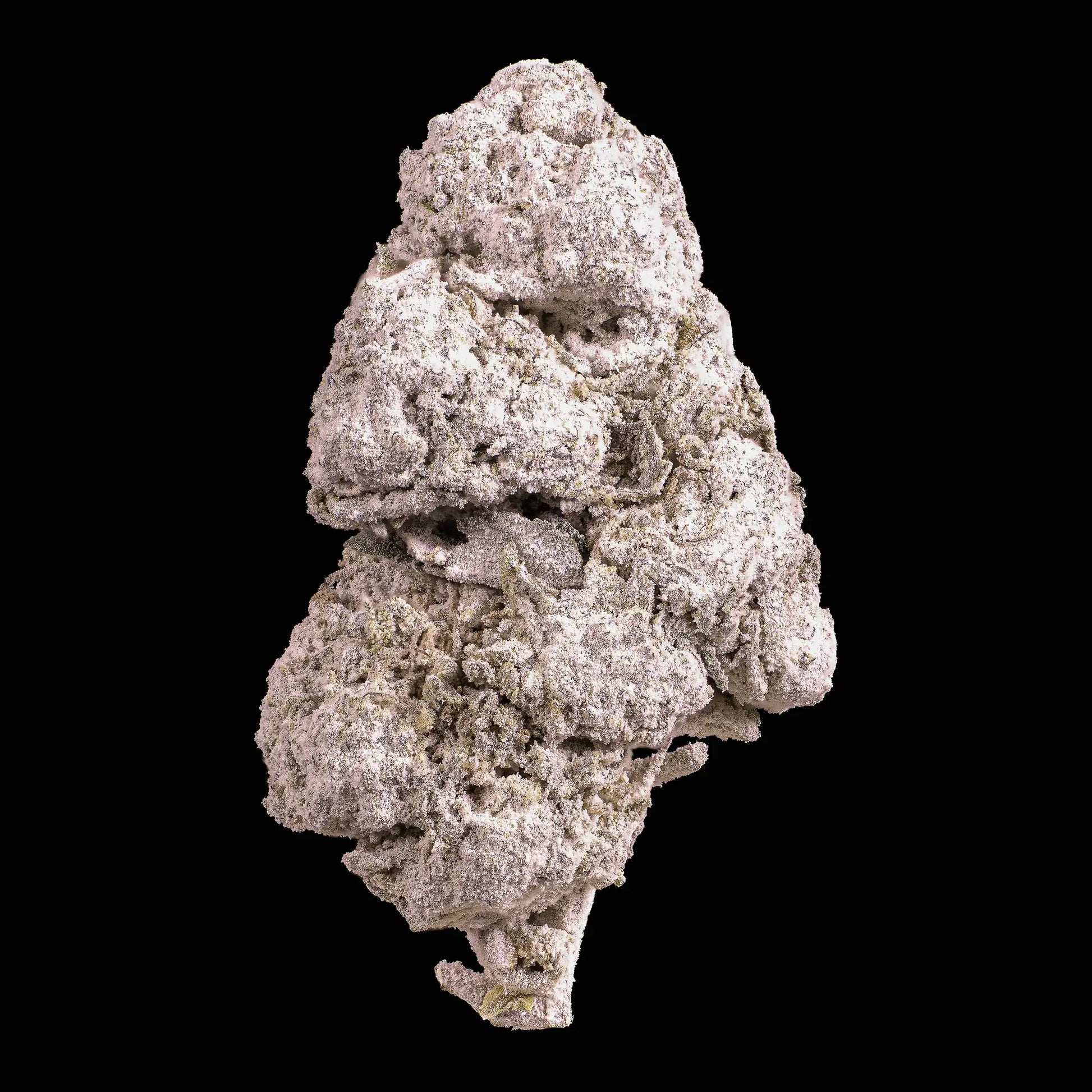 weedshop Dank Sinatra topskud