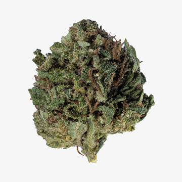 Gelato - 16% CBD