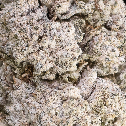 Gushers - 24% THCA