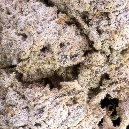 Half Baked - 24% THCA