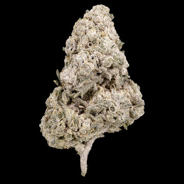 Kinky Kush - 25% THCA