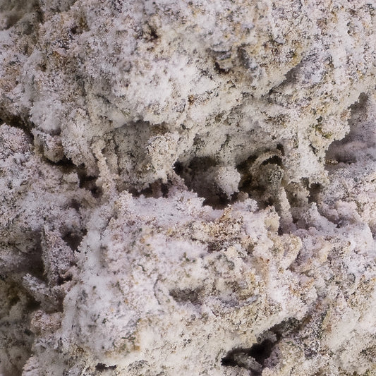 La Push Pop - 25% THCA