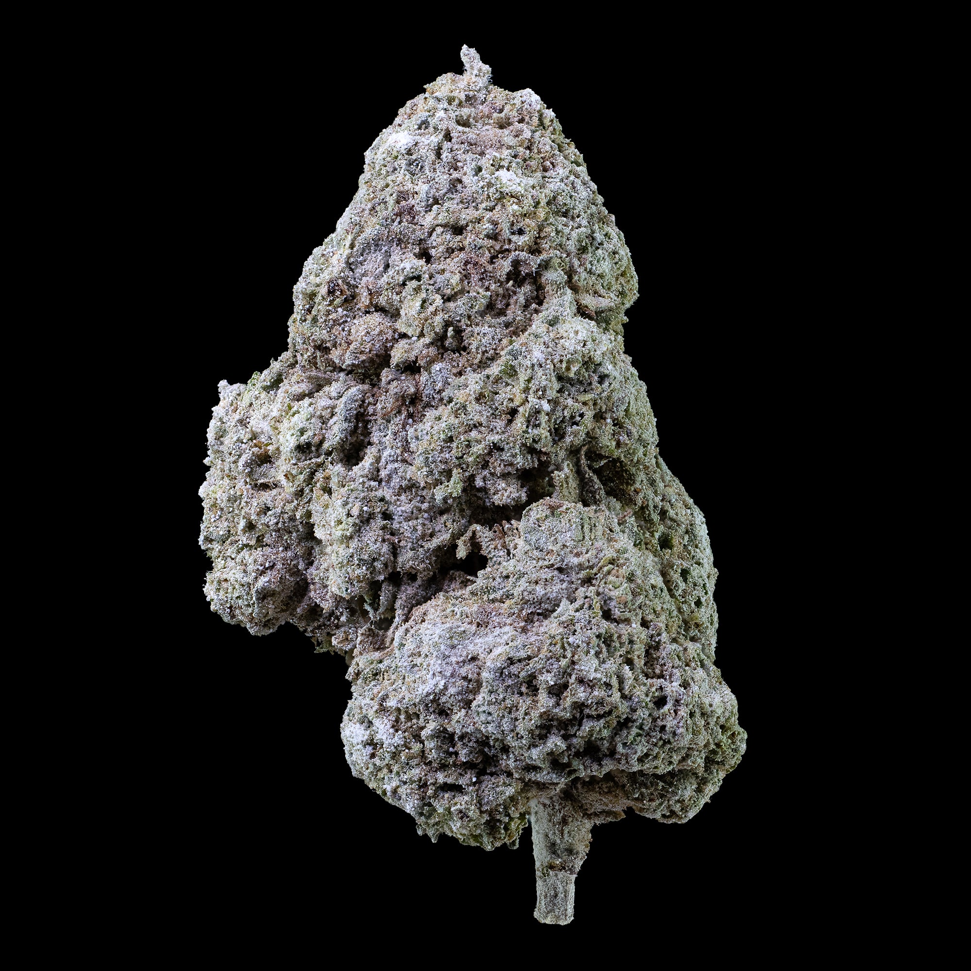 Magic Blaze - 23% THCA