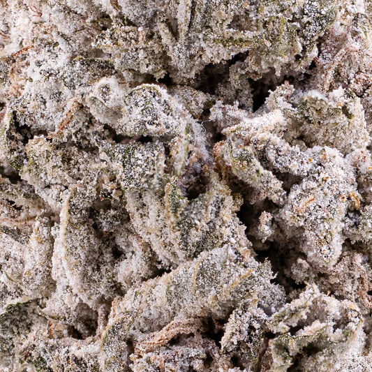 weedshop apple fritter thca bud coated isolate trichomes closeup macro shot
