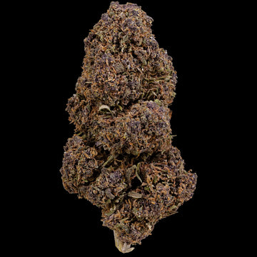 weedshop Purple Puff topskud