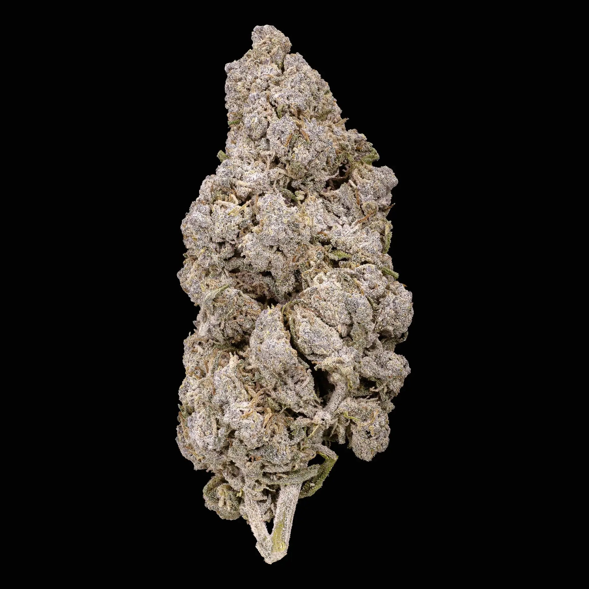 Aarhus Puff 22% THCA indoor flower with dense frosted trichome coverage