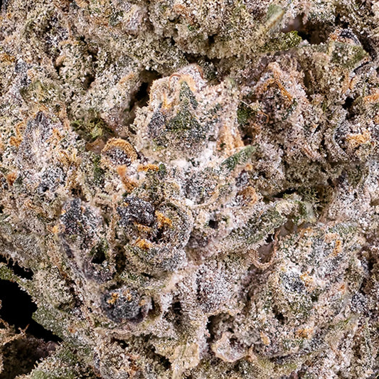 Close-up of Blue Dream THCA bud showing dense trichome coverage and orange pistils