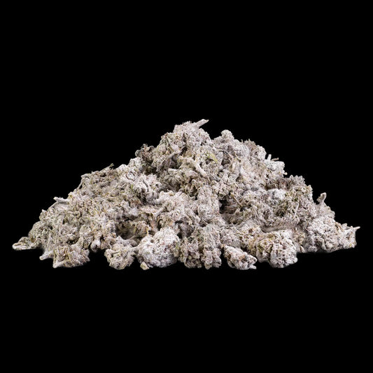 Bruce Banner 22% THCA popcorn buds grown in Spain with dense frosty structure