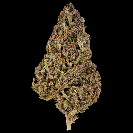 Cherry Poppers 14% CBD flower with purple hues and orange pistils grown in Spanish glasshouse