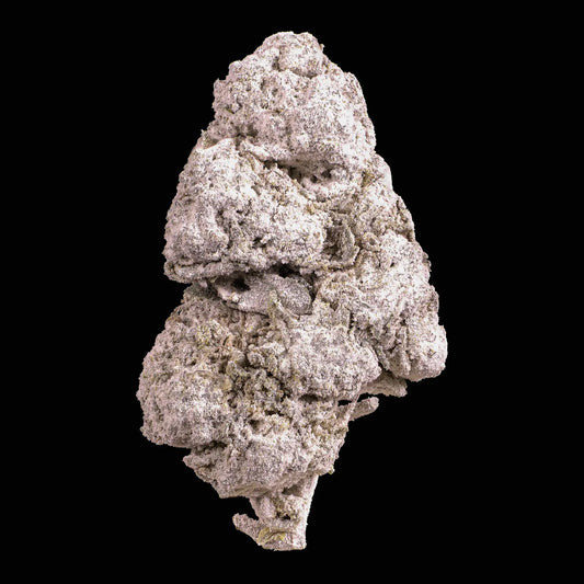 Dank Sinatra 25% THCA indoor flower with dense frosted trichome coverage