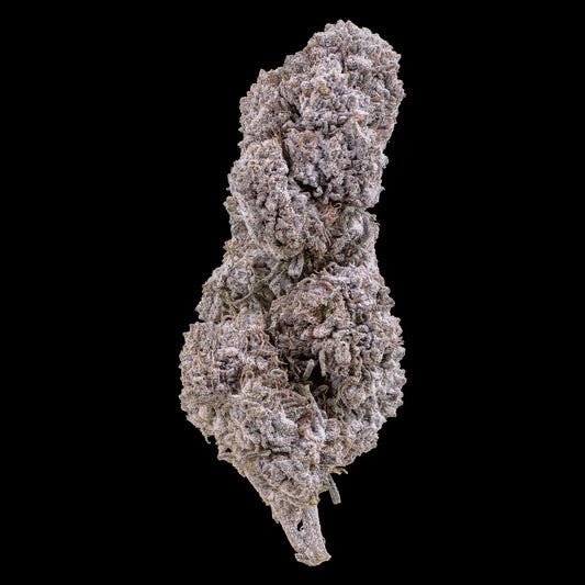 Diesel Punch 25% THCA indoor cannabis flower with dense resin-covered buds