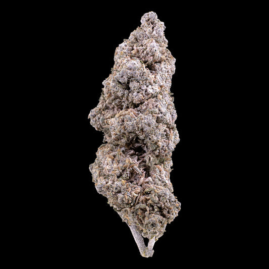 Jack Herer 25% THCA premium indoor flower with compact structure and dense trichome coverage