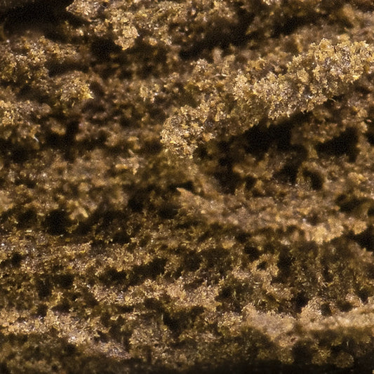 Close-up of Luksus Klump THCA hash showing dense resin texture and cold-pressed structure