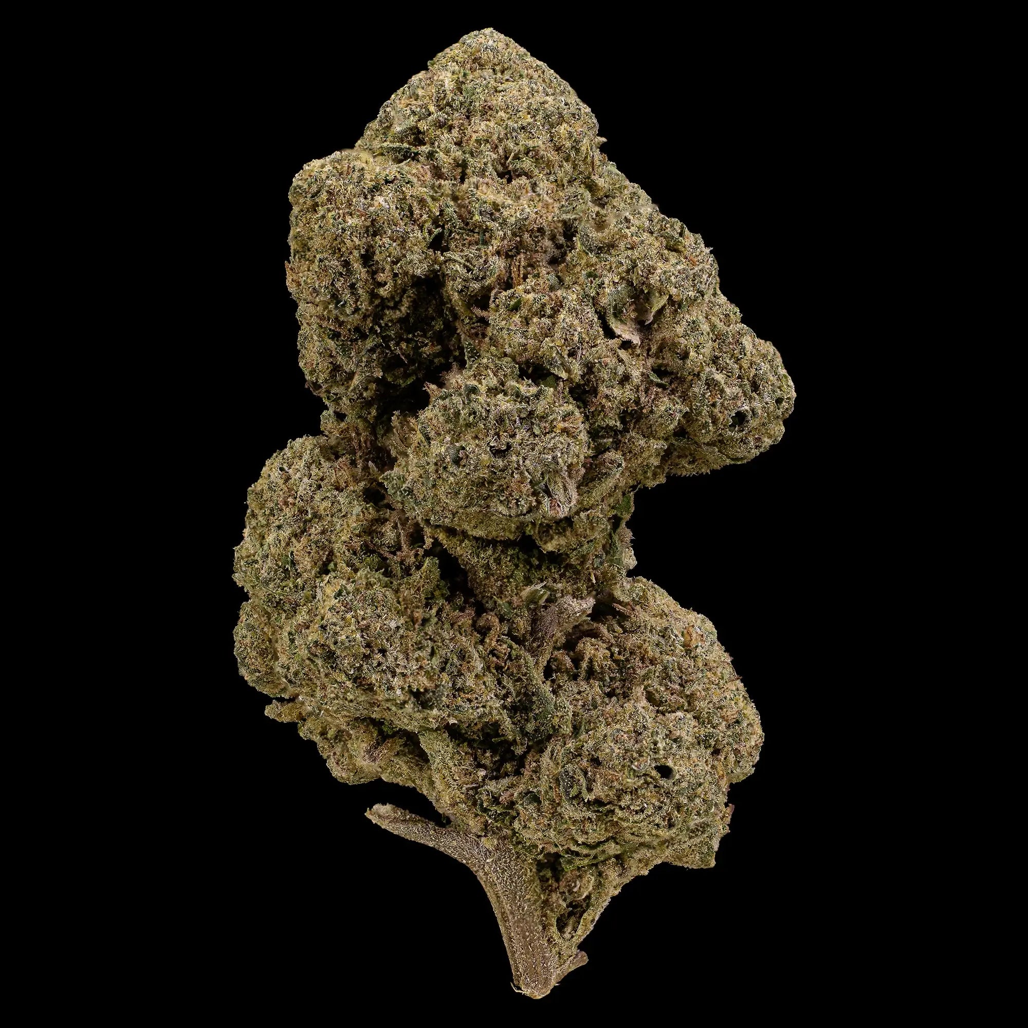 O.G. Kush 12% CBD glasshouse flower with dense green buds and orange pistils
