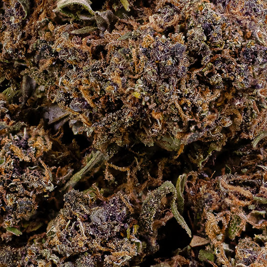 Close-up of Purple Puff CBD bud showing purple tones and trichome coverage