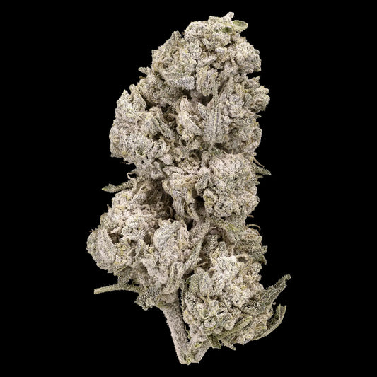 Stockholm Special 23% THCA indoor flower with frosted trichome coverage