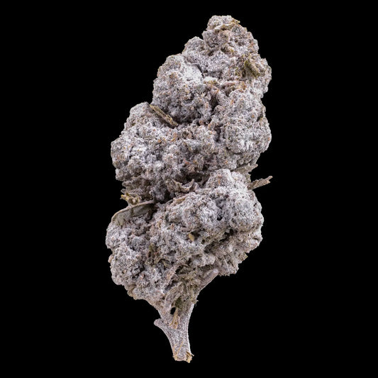 Tiger King 24% THCA indoor flower with frosted crystal-covered surface