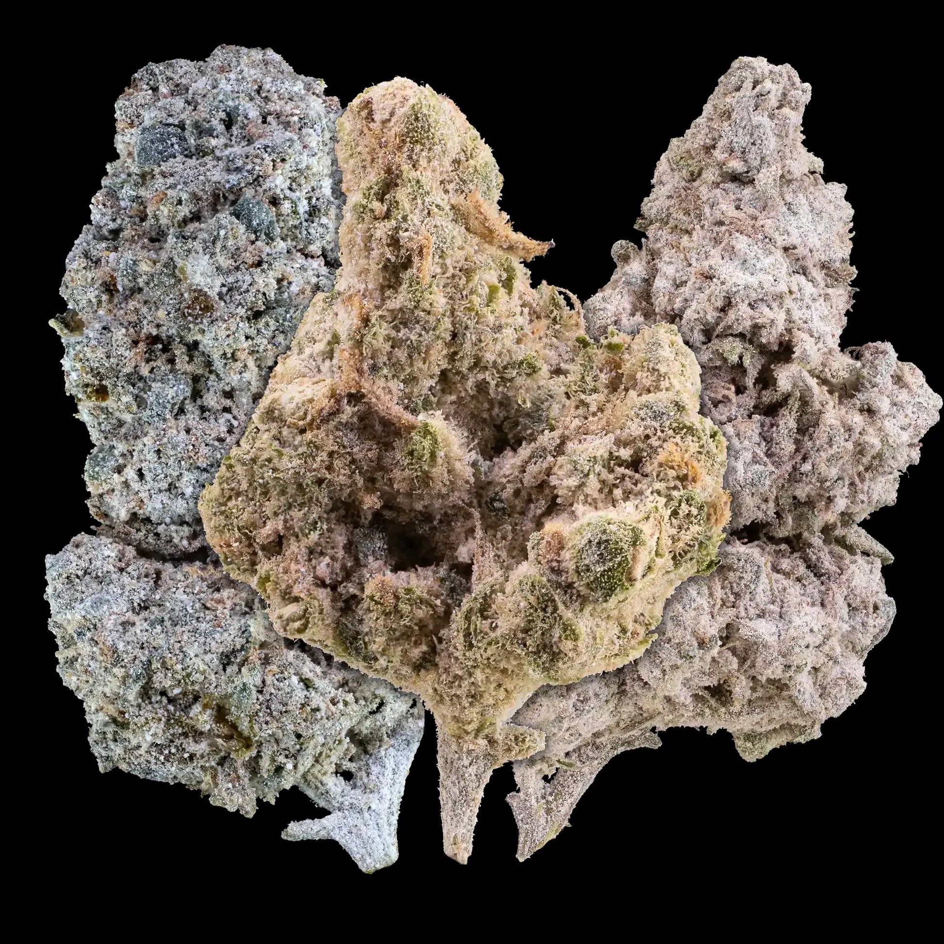 15g premium THCA indoor cannabis flower bundle with Amnesia, Trainwreck and Cosmic Kush